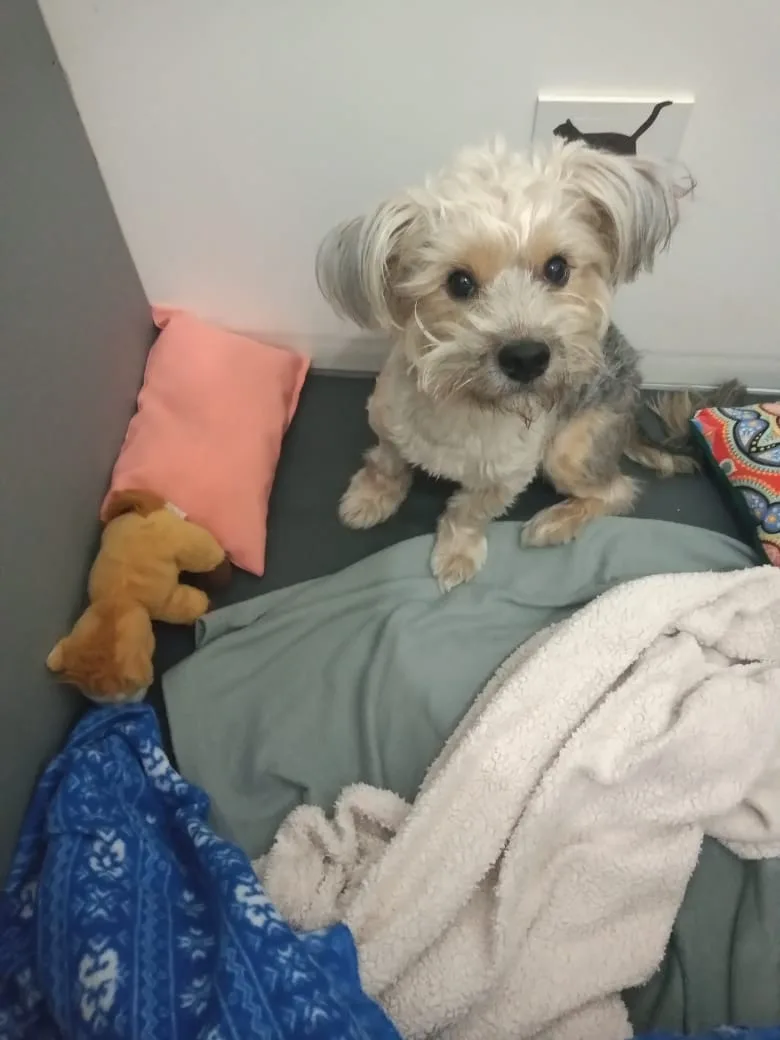 Paciente internado en box con manta y peluche