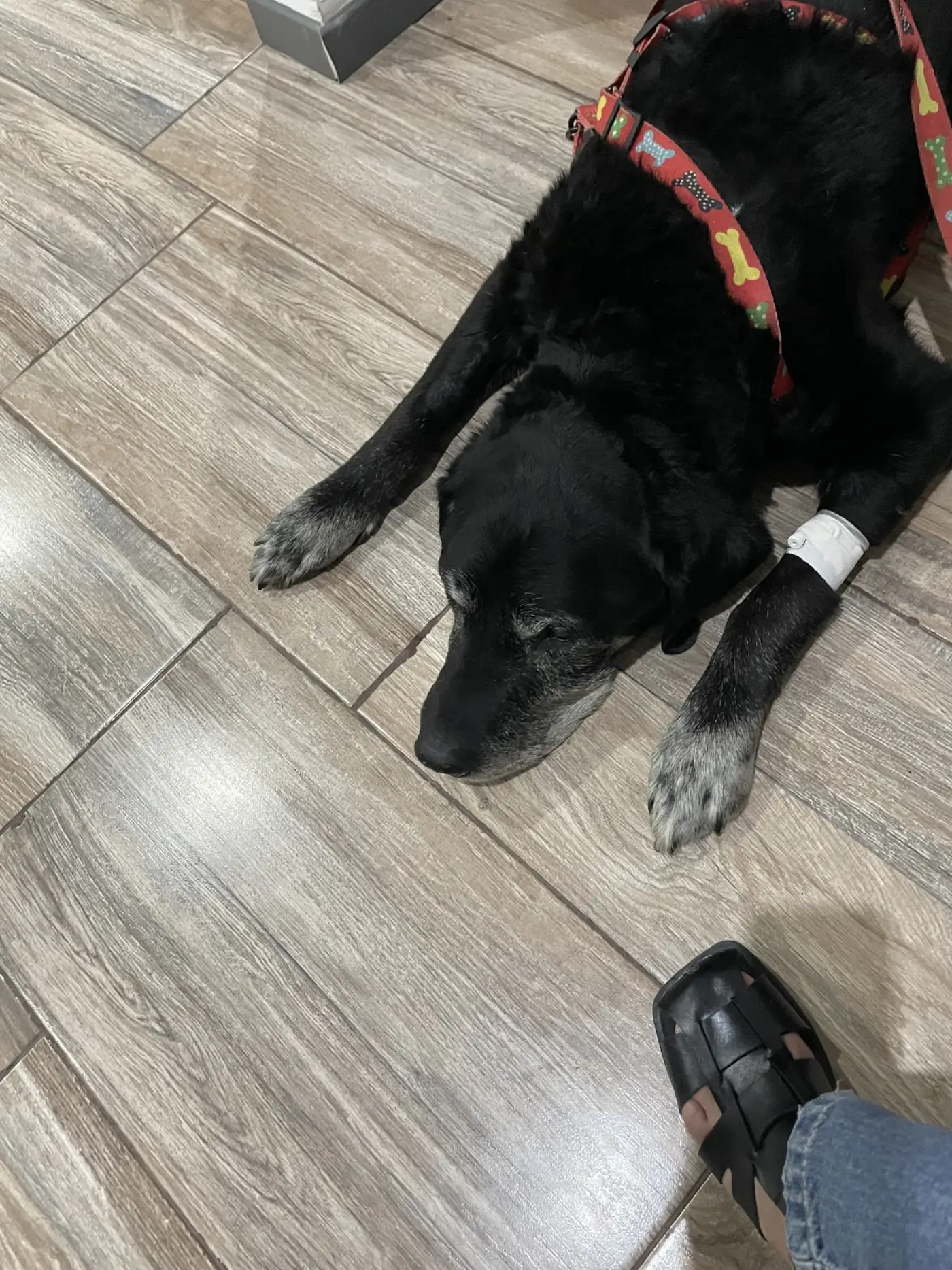 Paciente internado con vía intravenosa recibiendo cuidados críticos